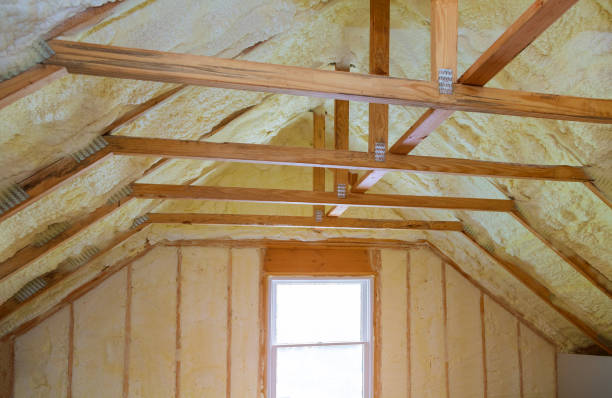 Best Cellulose Insulation in Sidney, MT