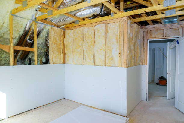 Best Insulation Maintenance and Repair in Sidney, MT