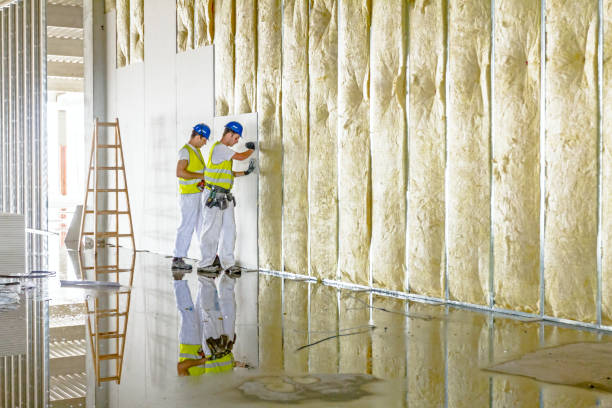 Professional Insulation Contractor in Sidney, MT